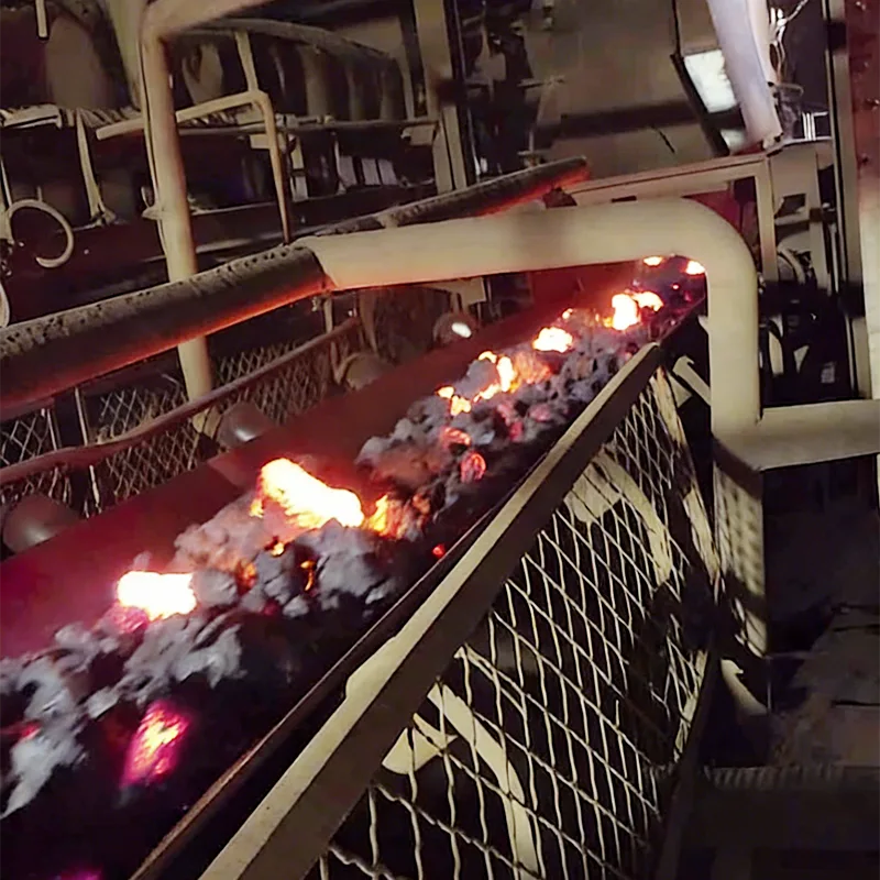 High Temperature Belt Conveyor