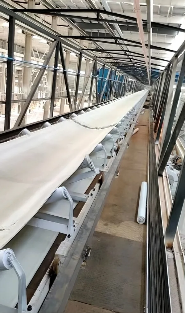 Fixed Flat Belt Conveyor