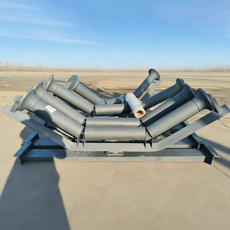 Carrying Training Idlers